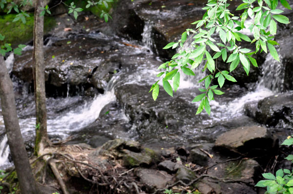 Lake Haigler waterfall